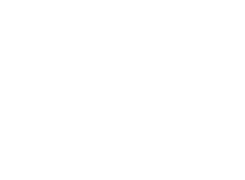 RMB Academy - Flight School